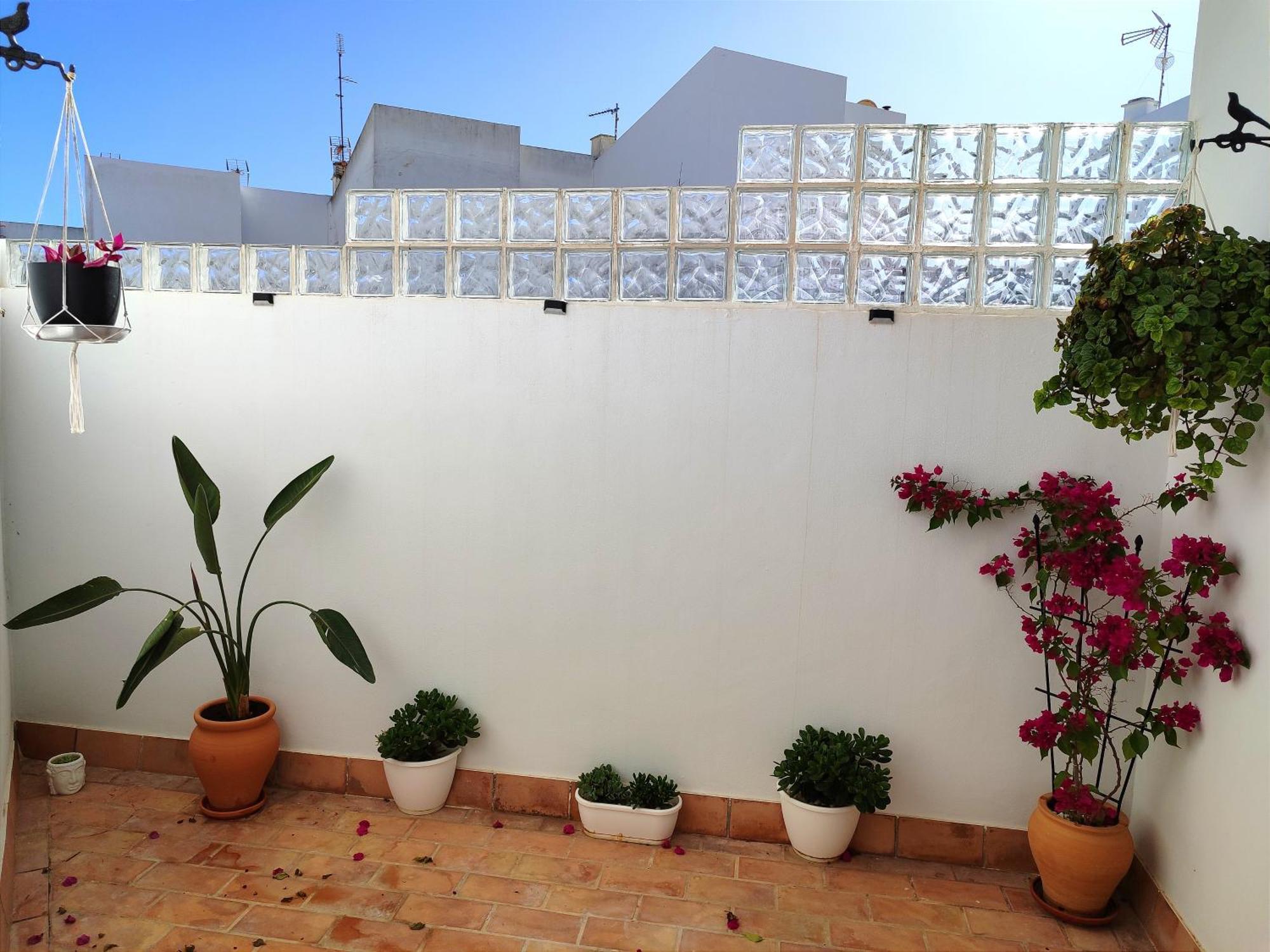 Casa Retinto Villa Vejer de la Frontera Eksteriør bilde